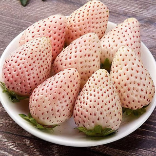 樱鲜淡雪草莓白色恋人白草莓礼盒当季新鲜水果产地 500g 18颗 1盒 装 精选淡雪草莓