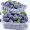 尹福记 特大果 特级品质 蓝莓 125g*2盒 单果15-18mm 顺丰空运