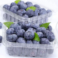 尹福记新鲜蓝莓现摘现发 蓝莓鲜果新鲜水果宝宝护眼鲜果 蓝莓 新鲜蓝莓 125g*2盒 单果15-18mm