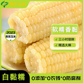 四平玉米 东北白糯玉米 250g*8根