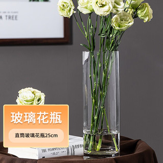 盛世泰堡 玻璃花瓶透明植物插花瓶水培容器大花瓶客厅摆件直筒款