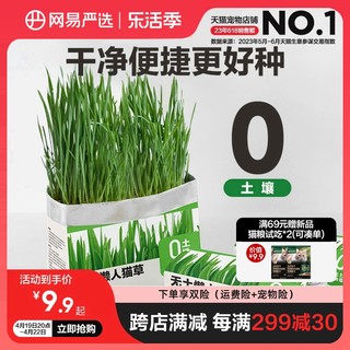 YANXUAN 网易严选 猫草无土盆栽 25g*3包