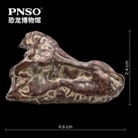PNSO霸王龙卡梅隆附霸王龙头骨恐龙博物馆1:35科学艺术模型