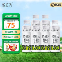 悦鲜活 鲜牛奶 低温牛奶 260ml*10瓶