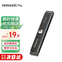 Romusic 口琴 24孔复音C调初学口琴（黑色）学生教学推荐