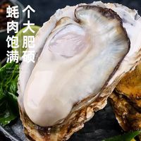 源头直发！顺丰冷链！乳山生蚝 5XL 5.5斤（带官方溯源防伪标识、死蚝包赔)