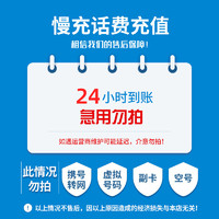 中国电信 两网（电信 联通）100元 （0-24小时内到账）