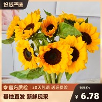 南园芳草 向日葵鲜花花束云南直发昆明基地家用客厅水养瓶插花教师节送老师