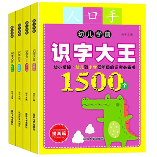 幼升小儿童识字书全套4册 识字大王1500字象形有故事的汉字书全4册