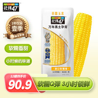 北纬47° 黄糯鲜玉米 200g*12穗（单根低至5.4元）