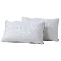 PLUS会员：LUOLAI 罗莱家纺 抗菌防螨乳胶大豆纤维枕 单只装 46*72cm