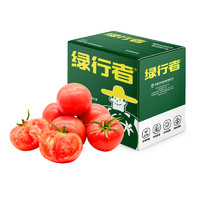 GREER 绿行者 小番茄 新鲜自然熟 沙瓤 西红柿  5斤  整箱