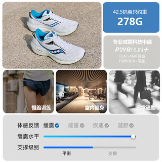 Saucony索康尼胜利21跑鞋男专业减震透气训练跑步运动鞋子Triumph胜利21 白兰106 44