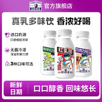 汤臣牧场 红乳茶哈密瓜巧克力味乳味牛奶饮料242ml*10瓶