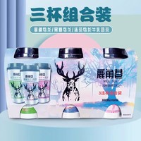 Hidolly 百多利 鹿角巷 港式奶茶冲泡速溶饮品 12杯