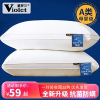 Violet 紫罗兰 全棉刺绣羽丝绒枕