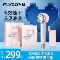 FLYCO 飞科 高速吹风机家用负离子护发大风力速干电吹风筒