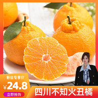 哆呢果 四川不知火丑橘新4.5斤