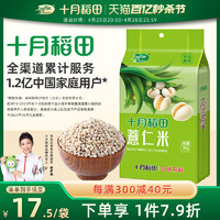 十月稻田 贵州小粒米煮粥薏米苡仁米五谷杂粮1kg