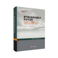 大气污染控制技术与策略丛书：烟气催化脱硝关键技术研发及应用