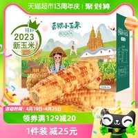 88VIP：华田禾邦 新玉米 零云南香糯小玉米2kg