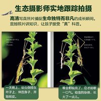 生命的故事礼盒装 赠音频 3-8岁幼儿园儿童自然科学科普绘本 昆虫朋友大百科早教启蒙全书 小学生