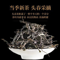 滇南记冰岛早春普洱生茶云南生普洱茶古树普尔春茶新茶散茶叶2024年 精选原料250克装