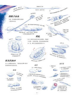 踏入荒野：给孩子的野外生存指南