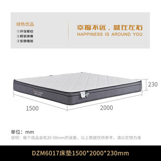 左右弹簧床垫天然椰棕厚23cm家用护腰护脊3E环保抗菌亲肤DZM6017 1.5米床垫