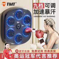 TMT 拳击机家用 蓝牙智能互联
