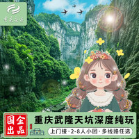 others 其他 重庆武隆一日游武隆天坑地缝仙女山天生三桥旅游包车