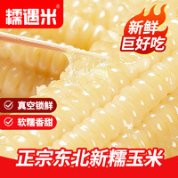 东北黏玉米棒  200g＊10根