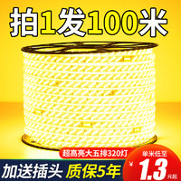 拉伯塔 超高亮led灯带户外防水220v工程外墙室外客厅吊顶暖光暖白光灯条