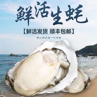 源头直发！秒杀！乳山生蚝 2XL号 5.5斤装 （带官方溯源防伪标识、死蚝包赔）