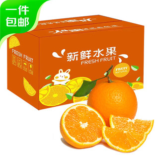 四川青见果冻橙 柑橘4.5斤 单果70-75mm