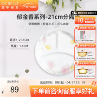 CORELLE 康宁餐具 进口郁金香玻璃餐具套装饭碗面碗骨碟深盘 21cm分隔盘