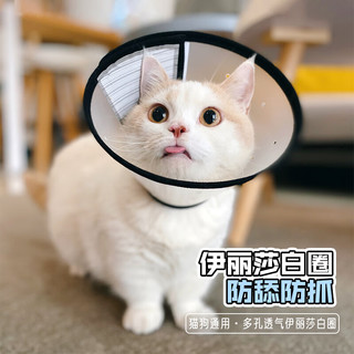 派乐特 伊丽莎白圈耻辱圈狗狗项圈猫咪项圈宠物脖套头套防咬圈用品7号