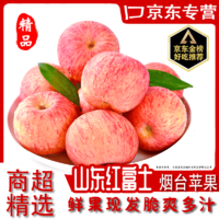 四叔公果蔬 红富士山苹果新鲜时令水果整箱红富士丑苹果水果 9枚装