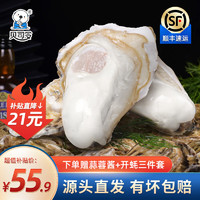 BEISILING 贝司令 鲜活乳山生蚝海鲜贝类牡蛎2XL号 净重5斤 17+只装 2XL净重5斤