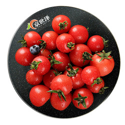 京世泽 圣女果 小西红柿 番茄 水果蔬菜 畅享装 5斤 急速