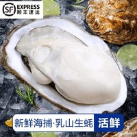 农美年 源头直发！乳山生蚝 5XL 特大 5.5斤装 （带官方溯源防伪标识、死蚝包赔）