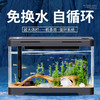 鹦鹦怪 鱼缸客厅塑料中小型金鱼缸亚克力生态缸斗鱼缸家用