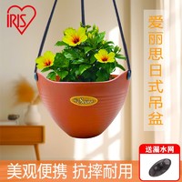 IRIS 爱丽思 吊兰花盆吊盆悬挂式吊篮垂钓植物塑料挂钩吊挂爱丽丝吊兰盆