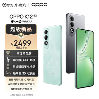 OPPO K12 5G 100W闪充 5500mAh超长续航 第三代骁龙7旗舰芯 直屏新款拍照游戏 AI手机 12GB+512GB 星夜