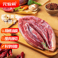 元牧希 国产原切黄牛腱子肉1kg/袋牛腱芯新鲜卤味炖煮烧烤谷饲牛肉健身