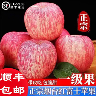 DFQY 东方玘缘 山东烟台栖霞红富士苹果 脆甜大果5斤烟台苹果 时令水果源头直发