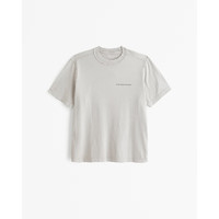 ABERCROMBIE & FITCH男装女装装 24春夏 美式风复古T恤 359280-1 灰褐色 XXL (185/124A)