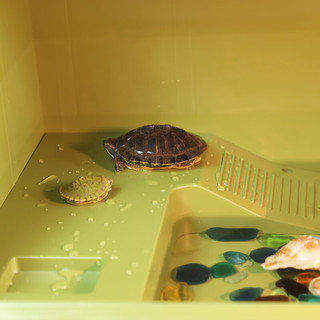 龟友天下乌龟缸带养巴西乌龟的盆带晒台大型草龟箱龟盆龟池饲养别墅水陆缸 白色缸裸缸