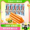 起亮食品 起亮一根脆骨原味40g香肠肉肠热狗肠脆皮肠包邮小零食