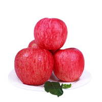 LUOCHUAN APPLE 洛川苹果 红富士 陕西正宗脆甜产地直发新鲜水果礼盒 净重4.2斤80±